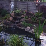 Pond with rockery and waterfall