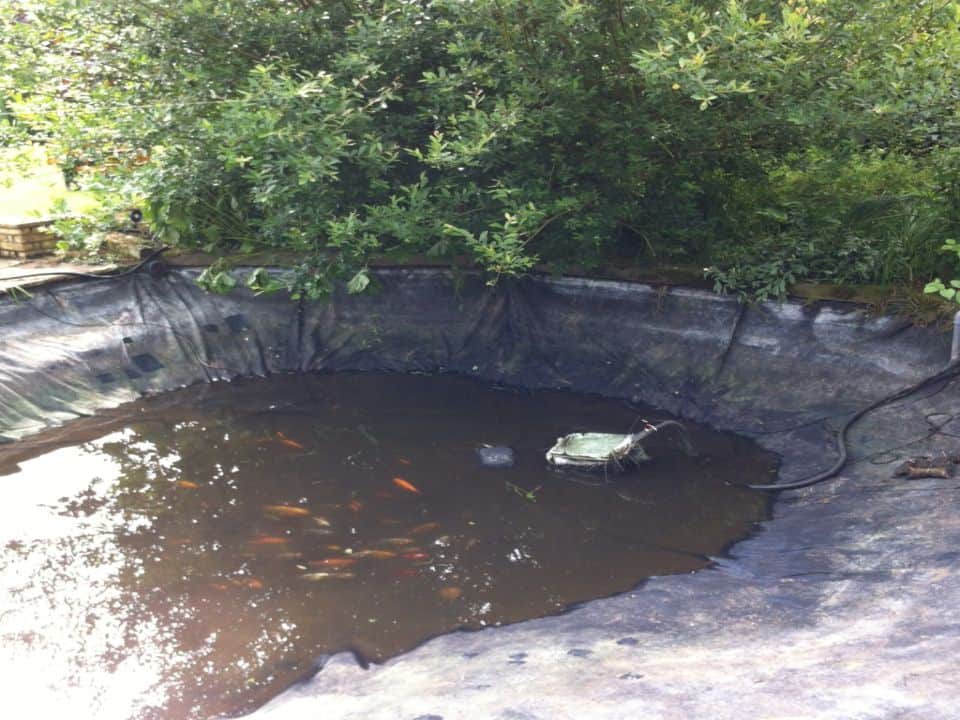 Repaired leaking pond
