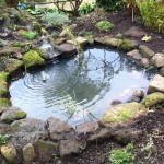 Resculptured wildlife pond