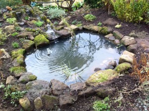 Resculptured wildlife pond
