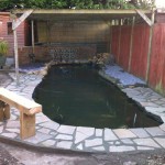 Pond after a revamp by Pond Works