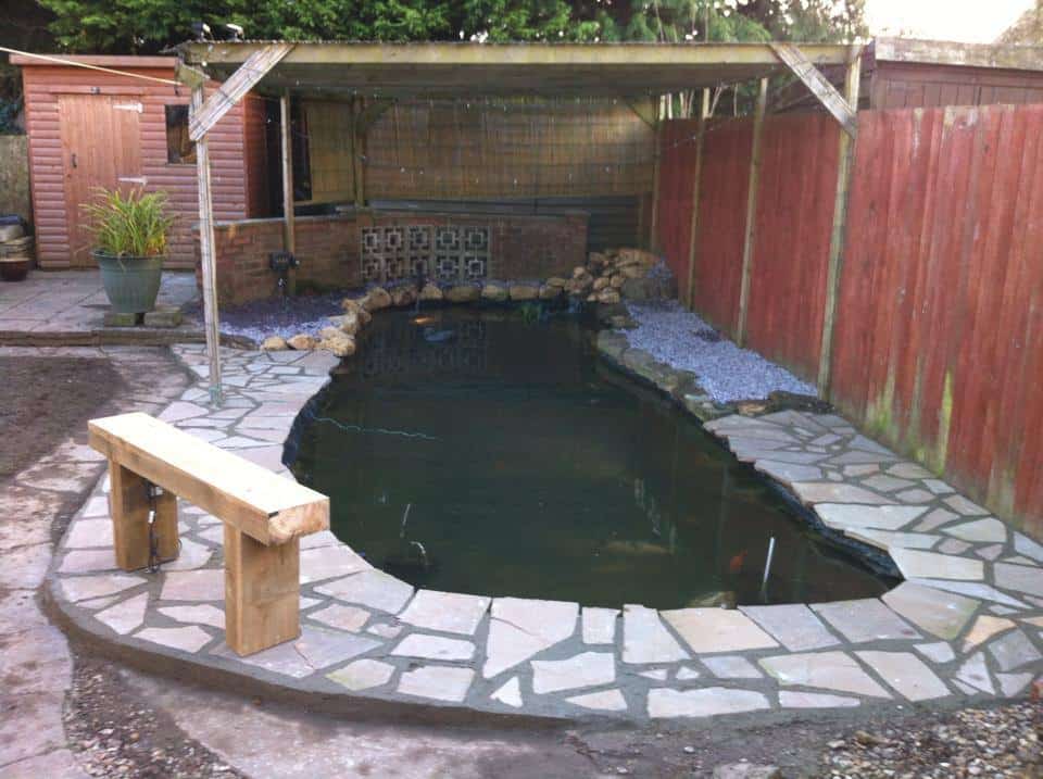 Pond after a revamp by Pond Works